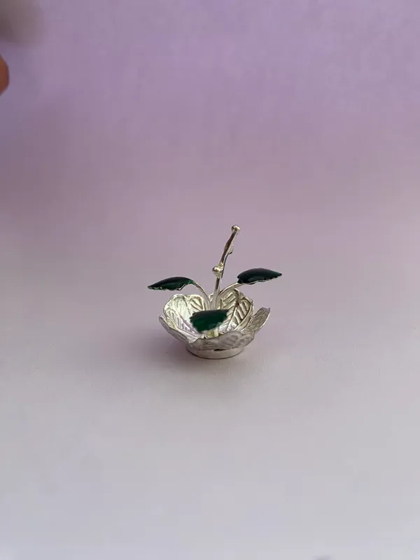 Small_Tiny_Pipal_Pepal_Plant_with_670_Silver_for_Pooja_Place