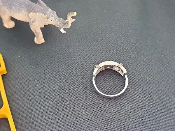 RINGS_>_GENTS_RINGS