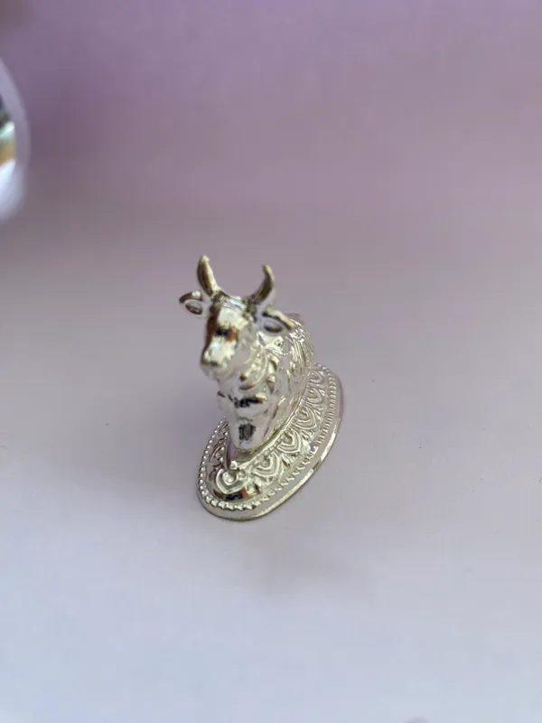 Small_Tiny_Sitting_Nandi_with_670_Silver_for_Pooja_Place