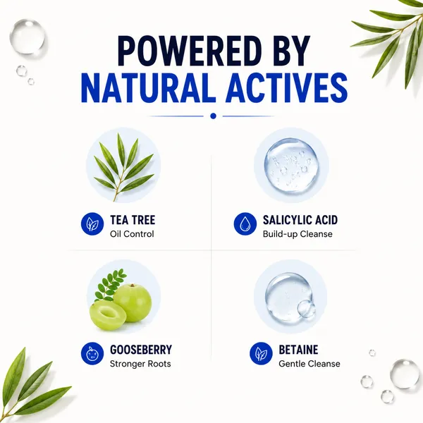 Hair_Shampoo_For_Oily_Scalp_|__Reduces_Hair_Fall,_Adds_Shine_&_Bounce_|_Tea_Tree_&_Salicylic_Acid