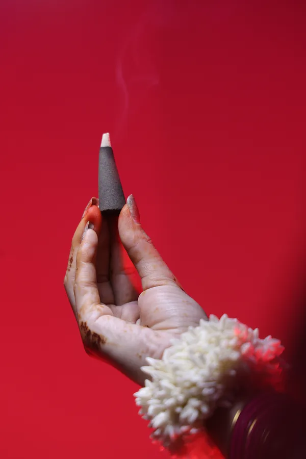 Aangan_Premium_Dhoop_Cones_"_Panchgavya_+_Seeds_"