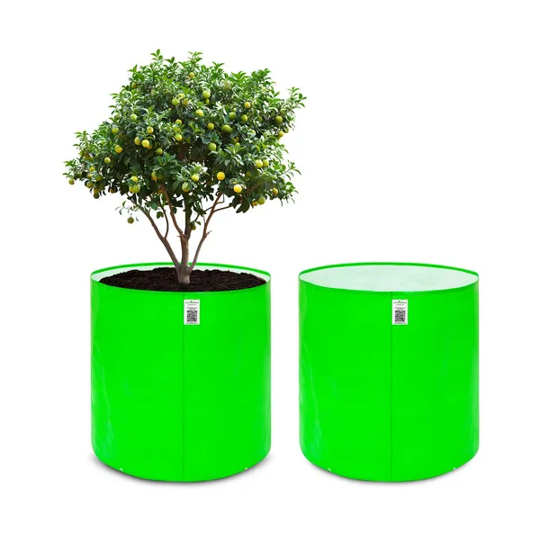 Pack_Of_2_Green_Hdpe_Circular_Grow_Bag_18X18_In_260_Gsm