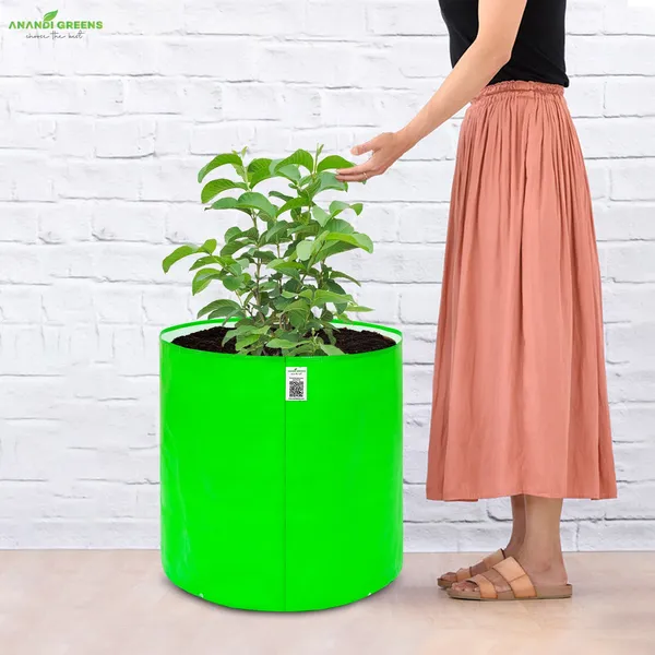 Pack_Of_2_Green_Hdpe_Circular_Grow_Bag_18X18_In_260_Gsm