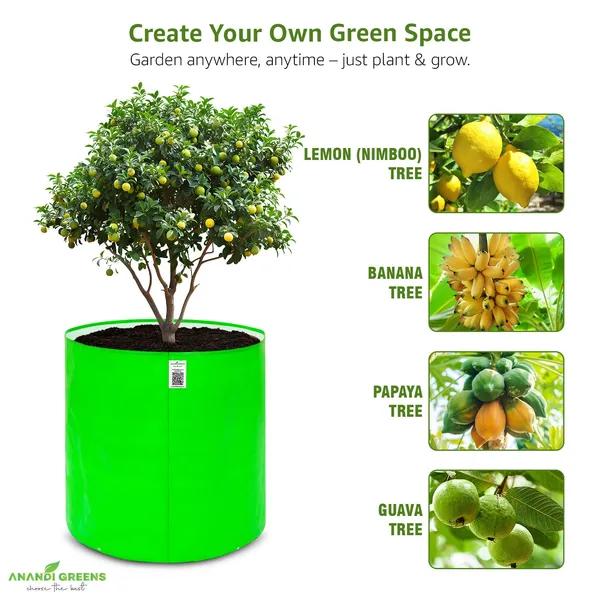 Pack_Of_5_Green_Hdpe_Circular_Grow_Bag_18X18_In_260_Gsm