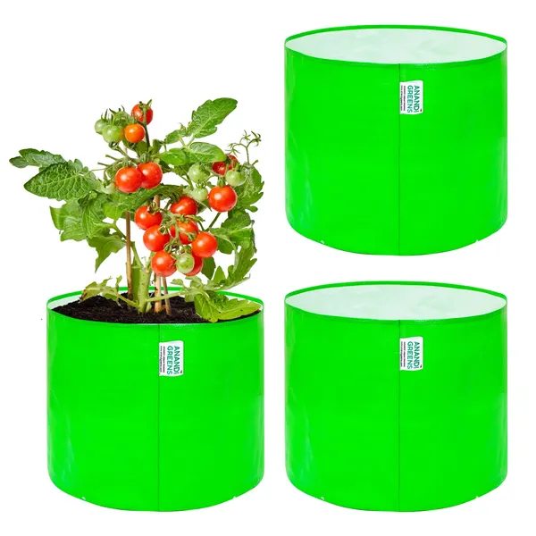 Pack_Of_3_Green_Hdpe_Circular_Grow_Bag_15_X_12_In_260_Gsm