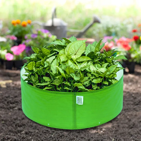 Pack_Of_8_Green_Hdpe_Circular_Grow_Bag_18X6_In_260_Gsm