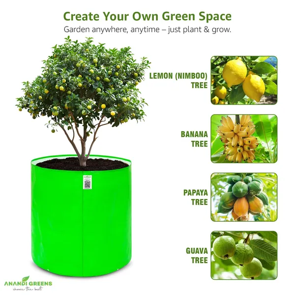 Green_Hdpe_Circular_Grow_Bag_24X24_In_260_Gsm