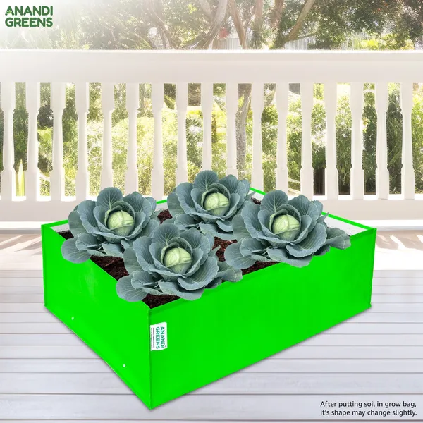 Pack_Of_2_Green_Hdpe_Rectangle_Grow_Bag_24X18X9_In_260_Gsm