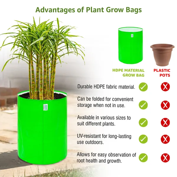 Green_Hdpe_Circular_Grow_Bag__260_Gsm
