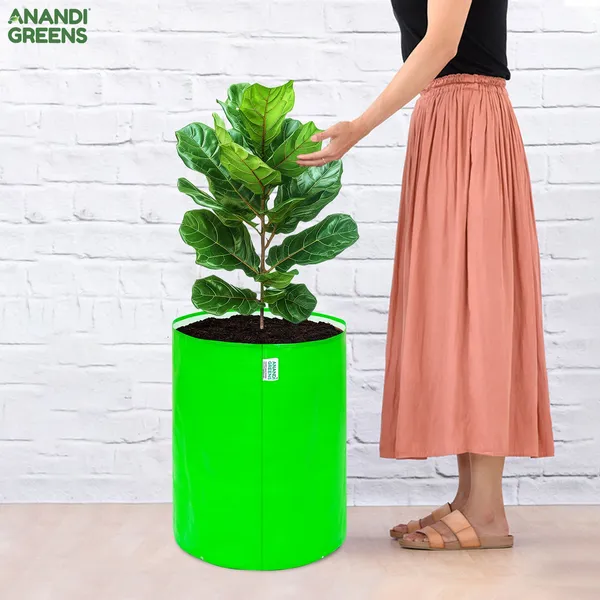 Green_Hdpe_Circular_Grow_Bag__260_Gsm