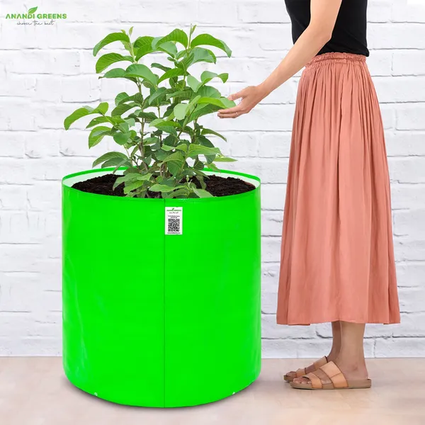 Green_Hdpe_Circular_Grow_Bag_24X24_In_260_Gsm