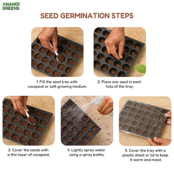 Pack_Of_10_Flower_Seeds_Bundle_(10_Varieties)