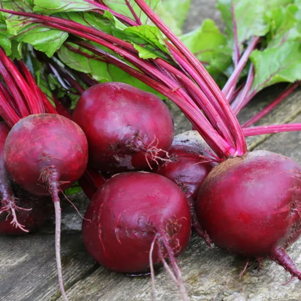 Red_Beetroot_Seeds
