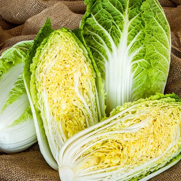 Chinese_Cabbage__Seeds_|_चाइनीज़_पत्तागोभी_बीज