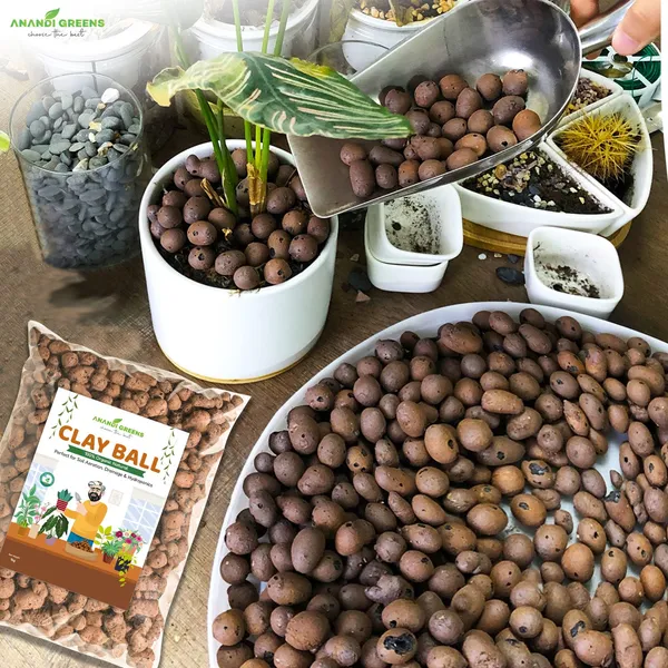 Expanded_Clay_Aggregate(Clay_Tablets)For_Hydroponics,_Orchids_&_Drainage