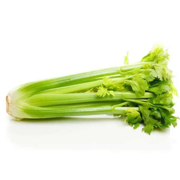 Celery_Seeds_for_Your_Garden