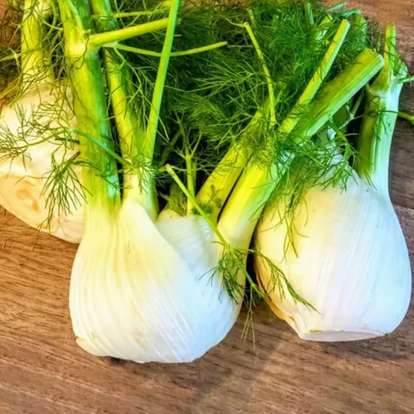 Fennel_Herb_Seeds