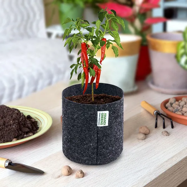 Dark_Grey_Geo_Fabric_Plant_Grow_Bag_6X6_In_400_Gsm
