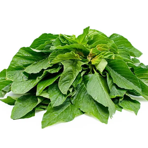 Green_Amaranthus_Seeds