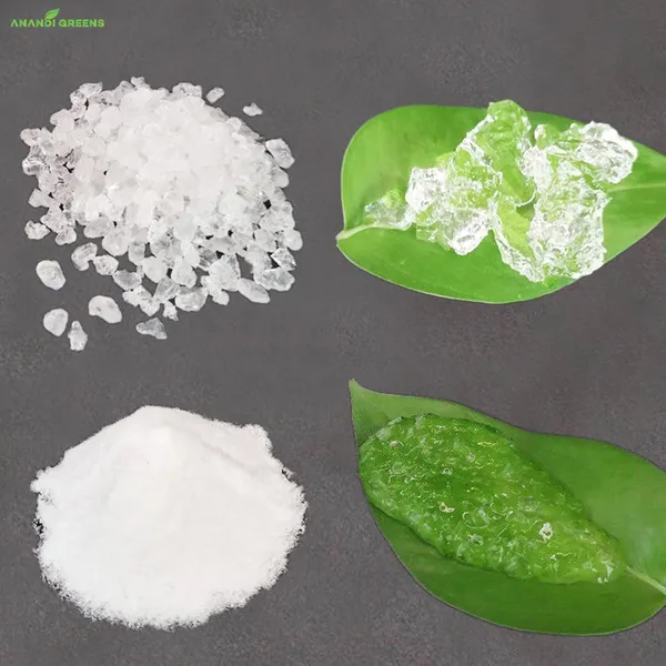 Hydrogel_Powder_For_Garden_&_Plants