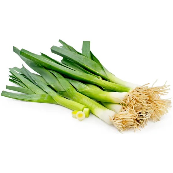 Leek_(American_Flag)_Seeds