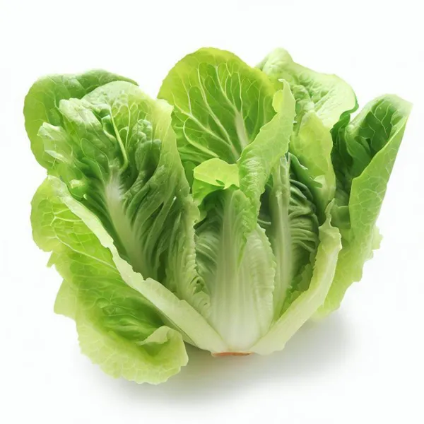Lettuce_Romaine__Seeds