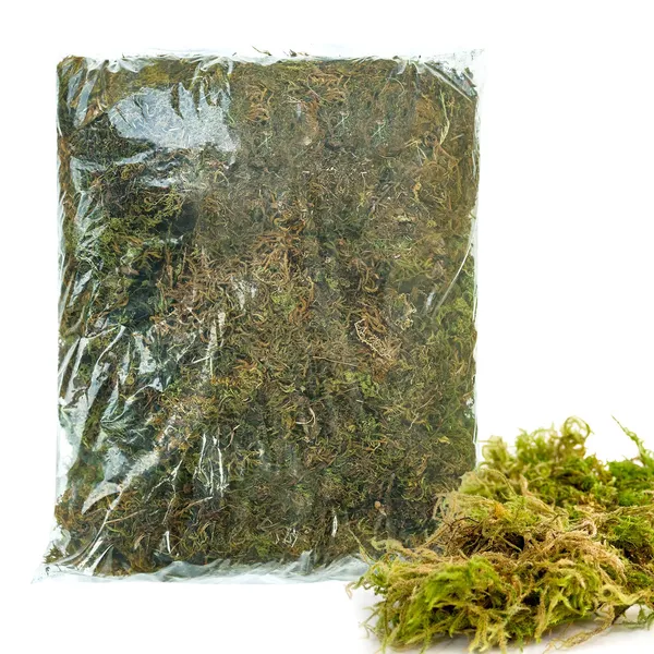 Natural_Dried_Moss_Grass_(Natural_Dry_Moss_Grass)-1Kg