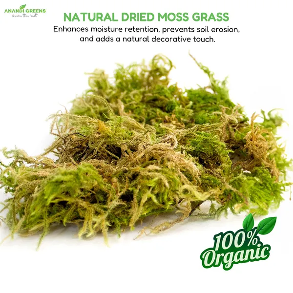 Natural_Dried_Moss_Grass_(Natural_Dry_Moss_Grass)-1Kg