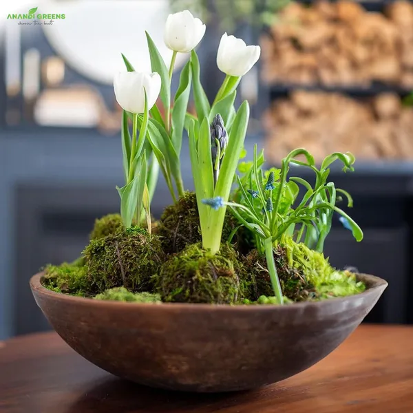 Natural_Dried_Moss_Grass_(Natural_Dry_Moss_Grass)-1Kg