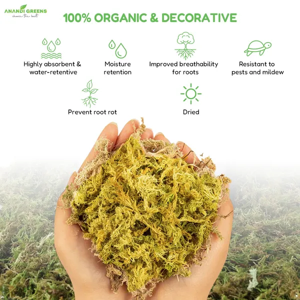 Natural_Dried_Moss_Grass_(Natural_Dry_Moss_Grass)-1Kg