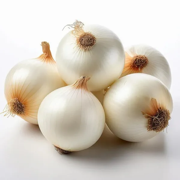 White_Onion_Seeds_सफेद_प्याज