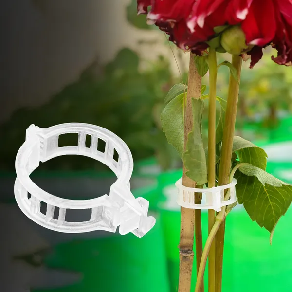 Plant_Support_Clips_(Pack_of_50_Pcs)_for_Gardening_&_Plant_Care