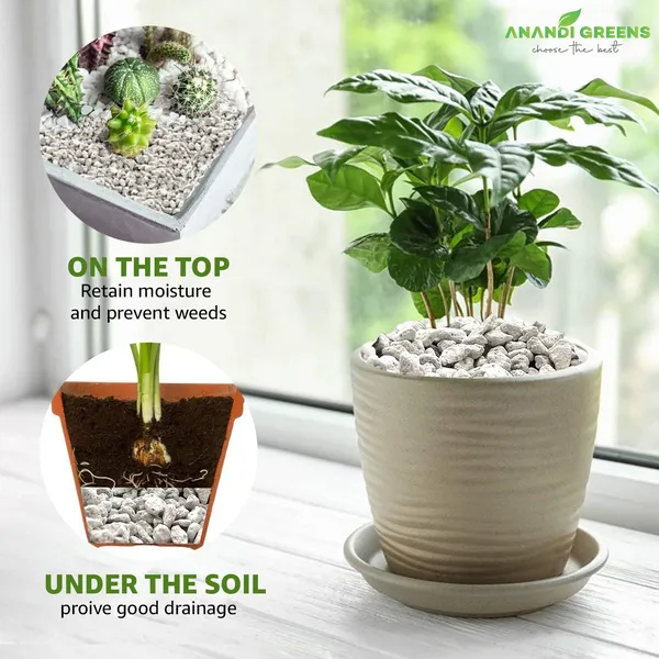 Hydrogel_Powder_For_Garden_&_Plants