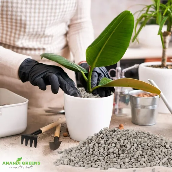 Hydrogel_Powder_For_Garden_&_Plants