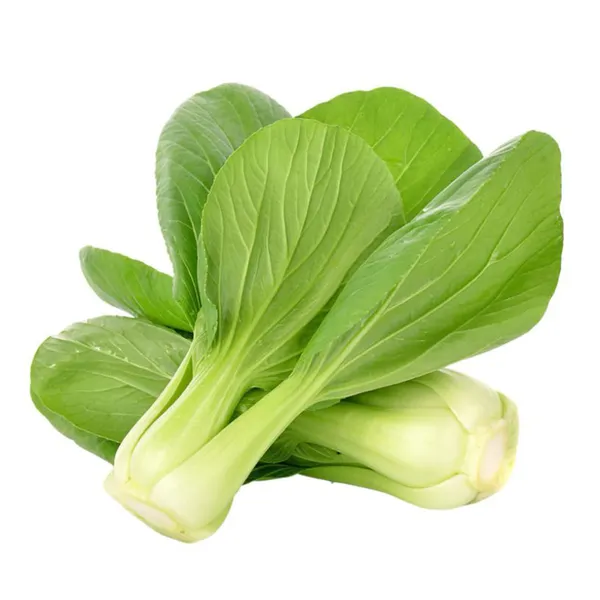 Pak_Choi_(Hybrid)_Seeds