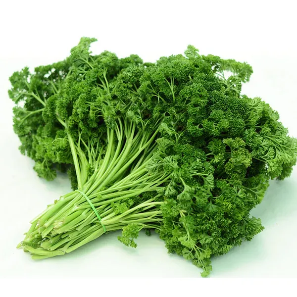 Parsley_(Cress_Curled)_Seeds