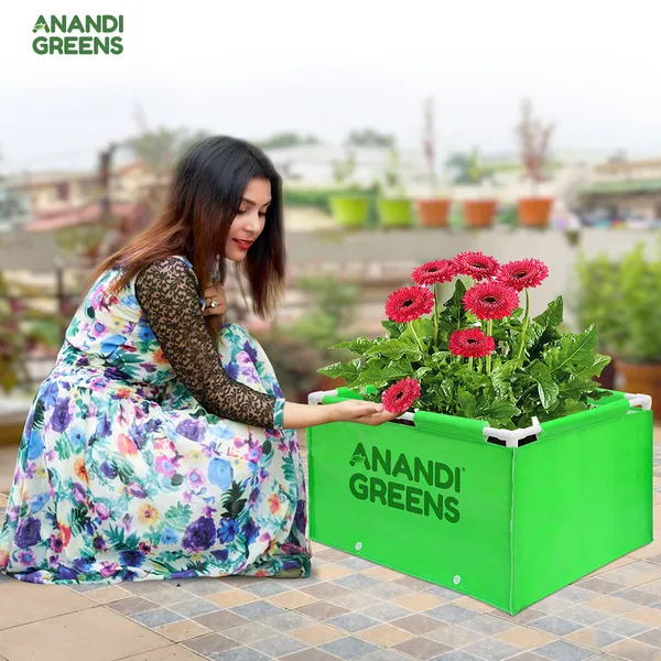 Green_Hdpe_Rectangular_Grow_Bag_2X1.5X1Ft_360_Gsm