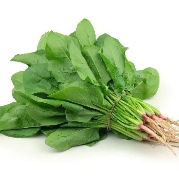 F1_Hybrid_Spinach__Seeds