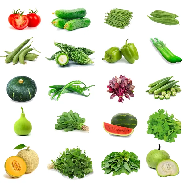 20_Summer_Seeds_Combo_–_Grow_Your_Own_Fresh_Veggies