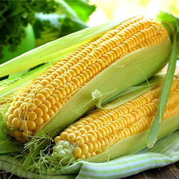 Sweet_Corn__Seeds