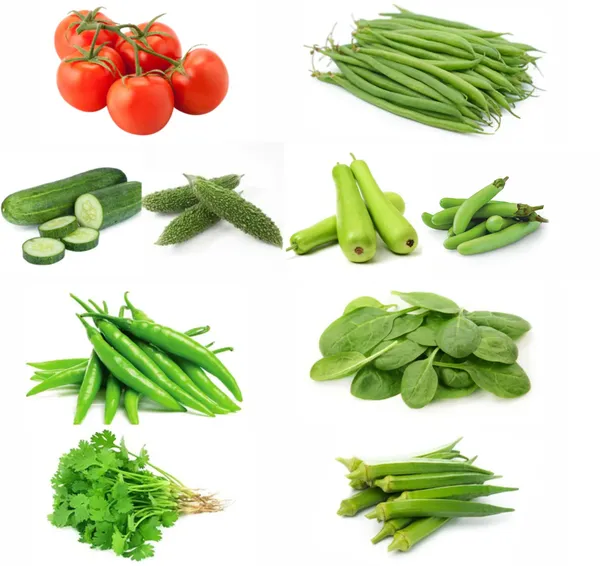 10_All_Season_Vegetable_Seeds_Kit_(10_सब्जियों_के_बीज_किट)