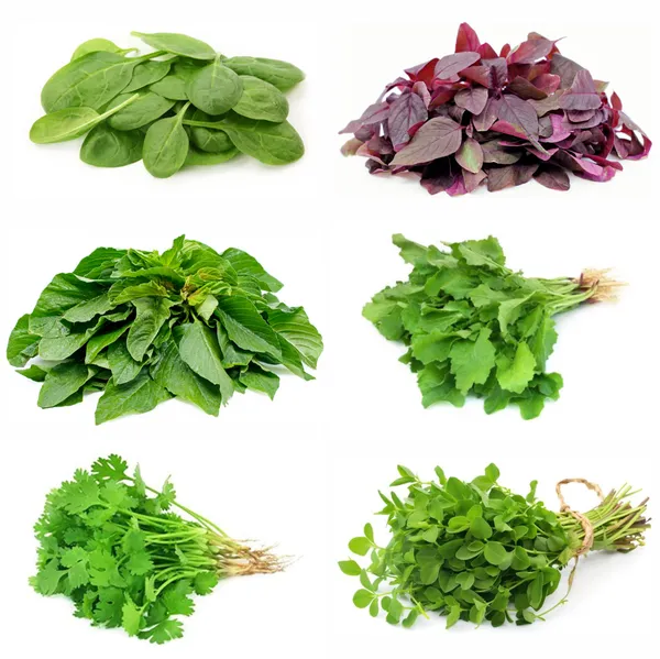 Best_6_Leafy_Vegetable_Seeds_for_Winter_Combo_Pack|_सर्दियों_की_6_सर्वश्रेष्ठ_पत्तेदार_सब्जियाँ