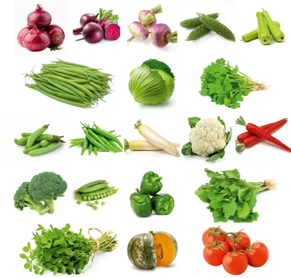 20_Winter_Vegetable_Seeds_Combo_Pack_(सर्दी_के_मौसम_की_20_सब्ज़ियों_के_बीज)_-_1000+_Seeds