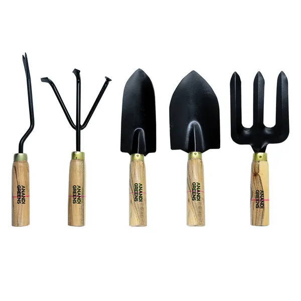 Gardan_Trowel_Tools_Set_5_Pcs_With_Wooden_Handle