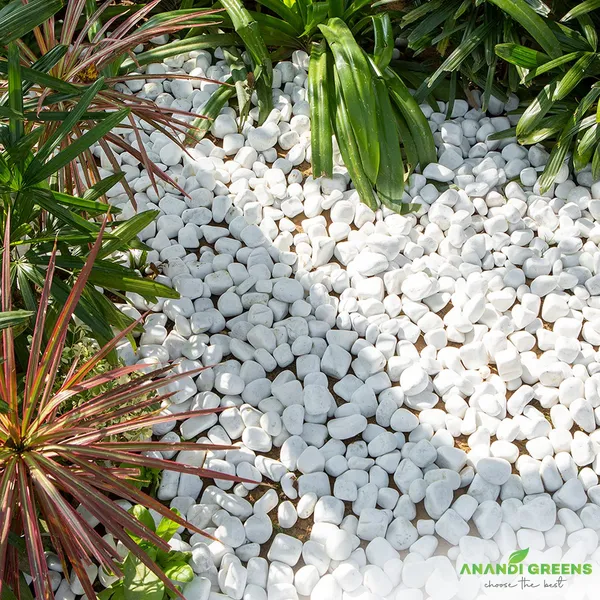 White_Unpolished_Decorative_Stones