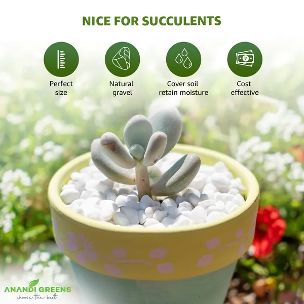 White_Unpolished_Decorative_Stones