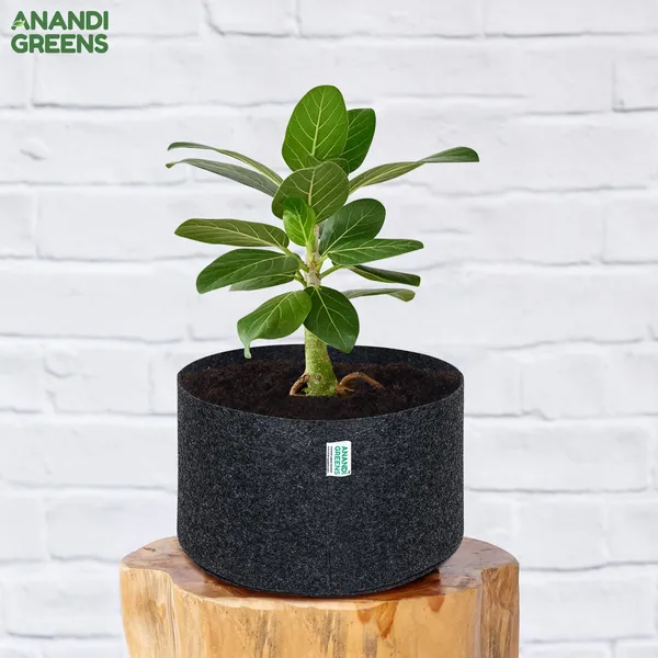 Dark_Grey_Geo_Fabric_Plant_Grow_Bag_18X9_In_400_Gsm