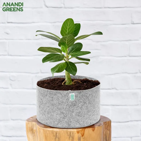Grey_Geo_Fabric_Plant_Grow_Bag_18X6_In_400_Gsm