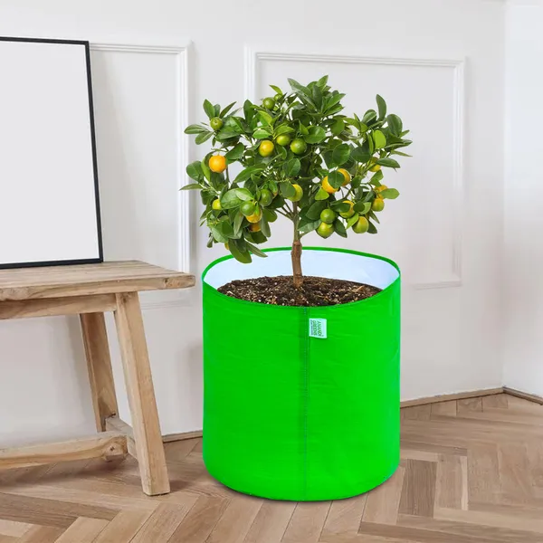 Pack_Of_20_Green_Hdpe_Circular_Grow_Bag_9X12_In_260_Gsm