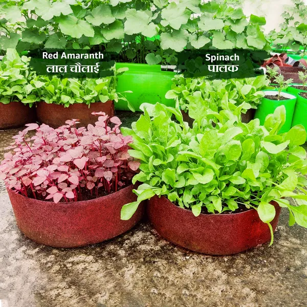 Maroon_Geo_Fabric_Plant_Grow_Bag_18X6_In_400_Gsm